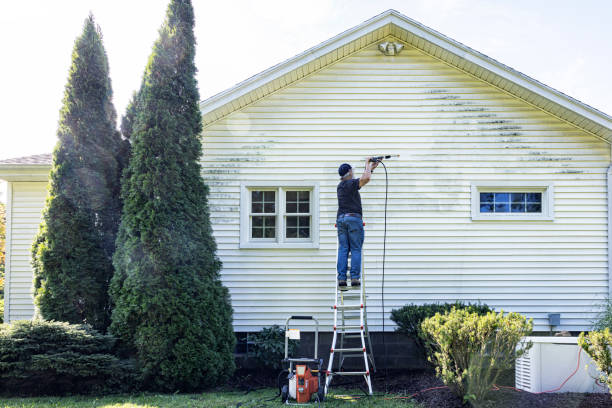 Best Vinyl Siding Pressure Washing in Hugo, MN